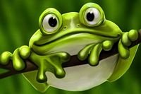 pic for Frog 